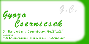 gyozo csernicsek business card